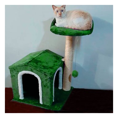 GIMNASIO GATOS MA31124 RYBIU ESPACIOSO Y ESTETICO COLOR VERDE