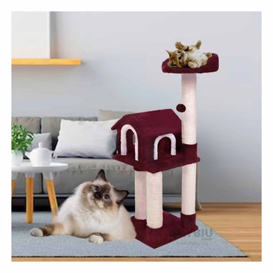 GIMNASIO GATOS MA31128 RYBIU COMPACTO Y MODERNO COLOR GUINDA +AGENDITA