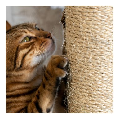 GIMNASIO GATOS MA31132 RYBIU COMPACTO MULTINIVEL DE COLOR PLOMO +PAPEL DE REGALO