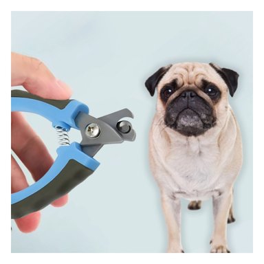 CORTAUÑAS PERRO Y GATO RYBIU MA31090 FUNCIONAL DE CELESTE + STICKERS - 2