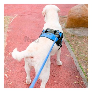 PECHERA PERROS MA30985 RYBIU DE PASEO PET EN AZUL XXL Y+PAPEL DE REGALO