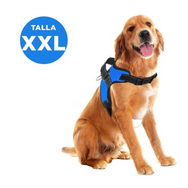 PECHERA PERROS MA30985 RYBIU DE PASEO PET EN AZUL XXL Y+PAPEL DE REGALO - 4