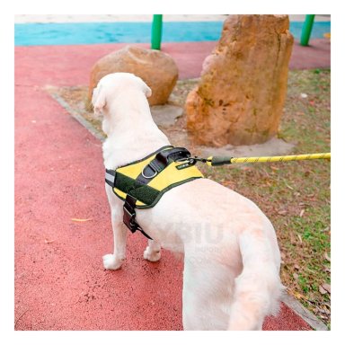 PECHERA PERROS MA30984 RYBIU DE VIAJE PET EN AMARILLO XXL Y+PAPEL DE REGALO