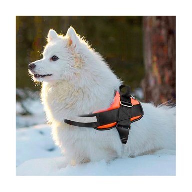 PECHERA PERROS MA30986 RYBIU FACIL USO EN ANARANJADO XXL Y+AGENDITA