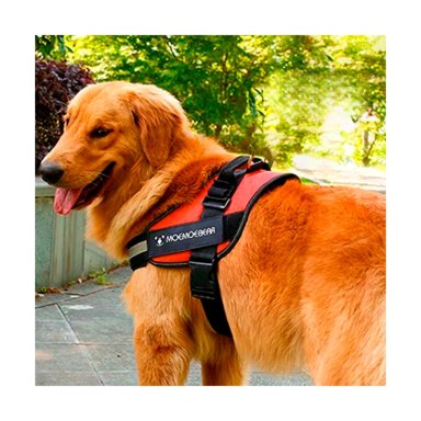 PECHERA PERROS MA30986 RYBIU SERVICE EN ANARANJADO XXL