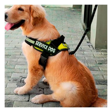 PECHERA PERROS MA30984 RYBIU PROTECCION DOG EN AMARILLO XXL Y+STICKERS