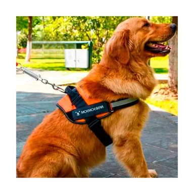 PECHERA PERROS MA30986 RYBIU DE PASEO PET EN ANARANJADO XXL Y+PAPEL DE REGALO