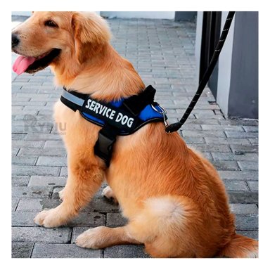 PECHERA PERROS MA30985 RYBIU PROTECCION DOG EN AZUL XXL Y+STICKERS