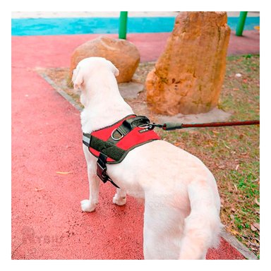 PECHERA PERROS MA30983 RYBIU DE PASEO EN ROJO XL Y+PAPEL DE REGALO