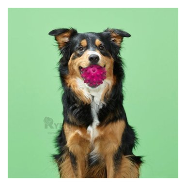 JUGUETE PERROS MA31147 RYBIU CHICO DISEÑO CLASICO COLOR ROSADO +AGENDITA