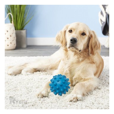 JUGUETE PERROS MA31150 RYBIU RESISTENTE TALLA L CELESTE +STICKERS