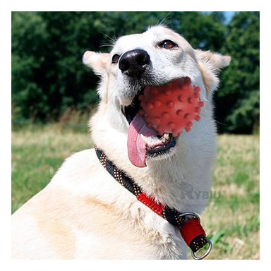 JUGUETE PERROS MA31146 RYBIU TRETENER COLOR ROJO +STICKERS