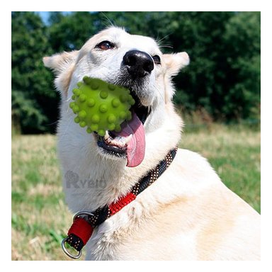 JUGUETE CAUCHO PERROS MA31148 RYBIU PEQUEÑO EN FORMA CHIRIMOYA DE COLOR VERDE