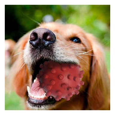 JUGUETE PERROS MA31146 RYBIU SUAVE PARA MORDER COLOR ROJO +PAPEL DE REGALO