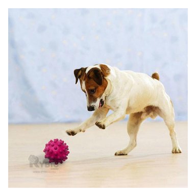 JUGUETE CAUCHO PERROS MA31147 RYBIU PEQUEÑO FORMA CHIRIMOLLA DE COLOR ROSADO