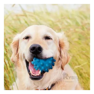 JUGUETE PERROS MA31156 RYBIU CON DISEÑO DE CHIRIMOLLA CELESTE +PAPEL DE REGALO