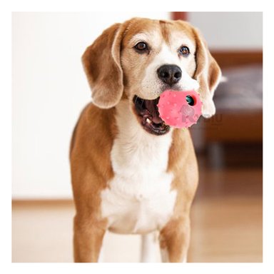 JUGUETE PERRO MA31159 ROSADO +STICKERS RYBIU