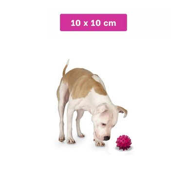 JUGUETE PERRO MA31153 FORMA DE CHIRIMOLLA ROSADO RYBIU - 4