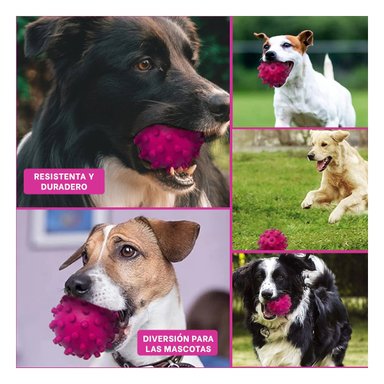 JUGUETE PERRO MA31153 FORMA DE CHIRIMOLLA ROSADO RYBIU - 5