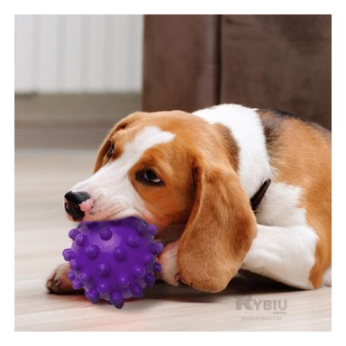 JUGUETE PERRO MA31151 FORMA DE CHIRIMOYA GRANDE MORADO RYBIU