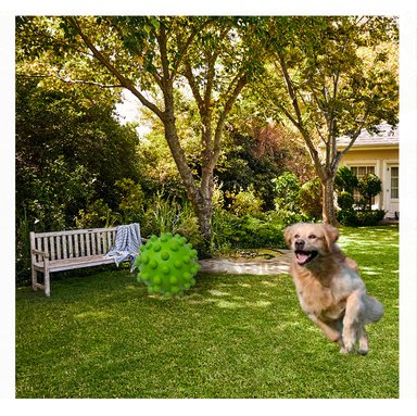 JUGUETE PERROS MA31160 RYBIU CON DISEÑO DE CHIRIMOLLA EN VERDE +PAPEL DE REGALO