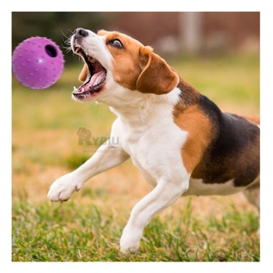 JUGUETE PERROS MA31157 RYBIU TONO MORADO +STICKERS