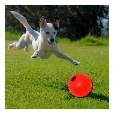 JUGUETE PERROS MA31158 RYBIU CON DISEÑO DE CHIRIMOLLA EN ROJO +PAPEL DE REGALO