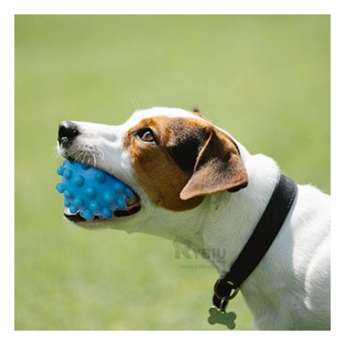 JUGUETE PERRO MA31156 CELESTE +STICKERS RYBIU