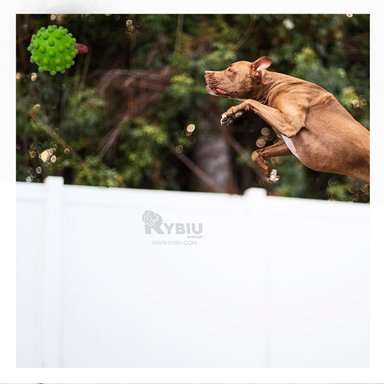 JUGUETE PORTATIL CAUCHO PERROS MA31160 RYBIU EN FORMA DE CHIRIMOLLA DISEÑO VERDE