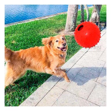 JUGUETE PERRO MA31158 ROJO +STICKERS RYBIU