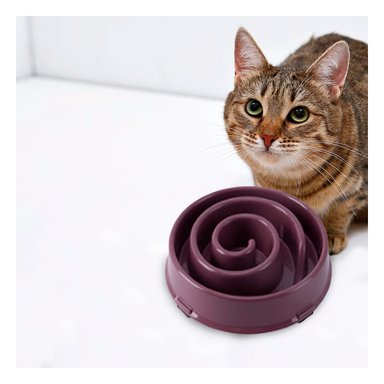 PLATO PERRO MA31301 DESESTRESANTE ESPIRAL EN GUINDA Y PAPEL REGALO RYBIU