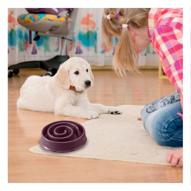 PLATO PERRO MA31301 DESESTRESANTE ESPIRAL EN GUINDA Y PAPEL REGALO RYBIU - 3