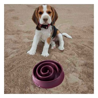 PLATO PERRO MA31301 DESESTRESANTE ESPIRAL EN GUINDA Y PAPEL REGALO RYBIU - 5