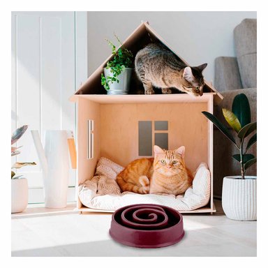 PLATO PERRO MA31301 ÚTIL ESPIRAL COLOR GUINDA Y AGENDITA RYBIU