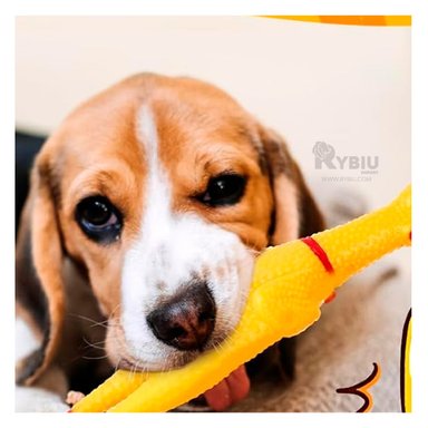 JUGUETE PERRO MA31167 INTERACTIVO AMARILLO +AGENDITA RYBIU