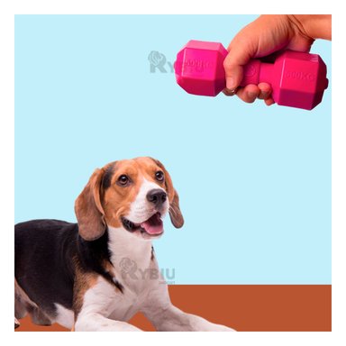 JUGUETE PERRO MA31163 TALLA M ROSADO +PAPEL DE REGALO RYBIU