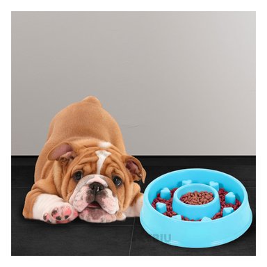 PLATO PERRO Y GATO MA31304 DESESTRESANTE CIRCULAR CELESTE Y PAPEL REGALO RYBIU