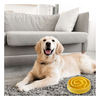 PLATO PERRO MA31302 ÚTIL ESPIRAL COLOR AMARILLO Y AGENDITA RYBIU