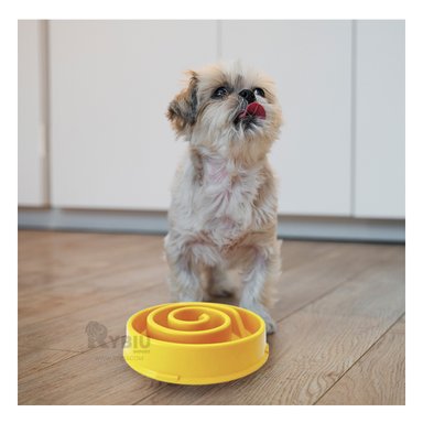 PLATO PERRO MA31302 DESESTRESANTE ESPIRAL AMARILLO Y PAPEL REGALO RYBIU