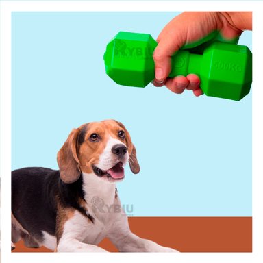 JUGUETE PERRO MA31163 TALLA M VERDE +PAPEL DE REGALO RYBIU