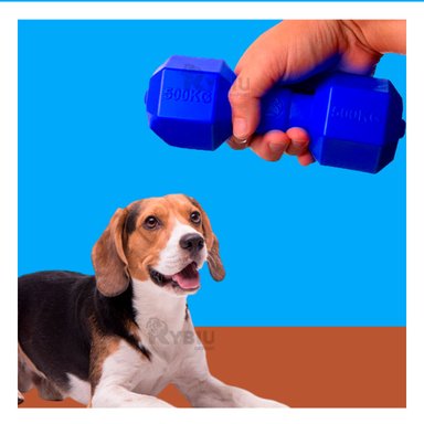 JUGUETE PERRO MA31161 AZUL +STICKERS RYBIU