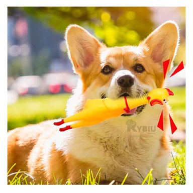 JUGUETE PERRO MA31167 AMARILLO +PAPEL DE REGALO RYBIU