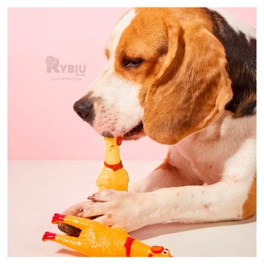 JUGUETE PERRO MA31168 AMARILLO +AGENDITA RYBIU