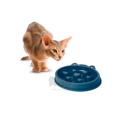 PLATO PERRO MA31300 ÚTIL RANITA PET COLOR AZUL Y AGENDITA RYBIU