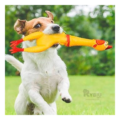 JUGUETE PERROS MA31166 RYBIU DIVERTIDO FORMA DE POLLO EN TALLA L +STICKERS