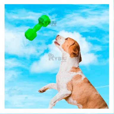 JUGUETE PERROS MA31163 RYBIU ENTRETENIDO LION COLOR VERDE +STICKERS