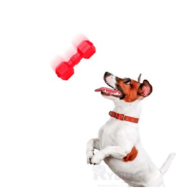 JUGUETE PERROS MA31162 RYBIU EN FORMA DE PESA PARA CACHORROS EN ROJO +AGENDITA