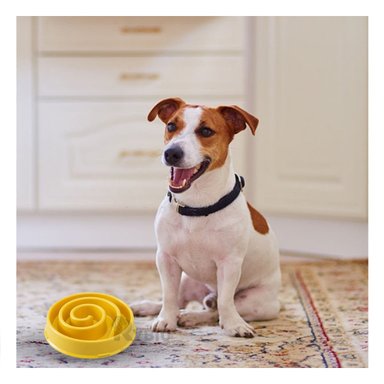 PLATO PERRO MA31302 DURADERO ESPIRAL COLOR AMARILLO Y STICKERS RYBIU