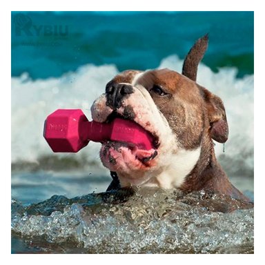 JUGUETE CAUCHO PERROS MA31163 RYBIU EN FORMA DE PESAS TALLA M COLOR ROSADO