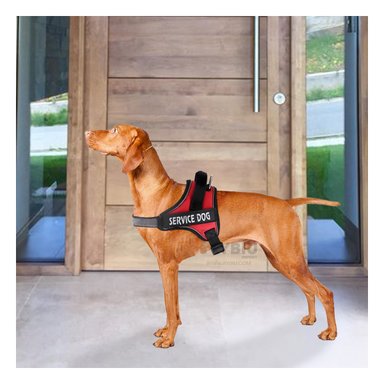 ARNÉS PERROS MA30963 RYBIU CONFIABLE Y ADAPTABLE EN ROJO Y+AGENDITA